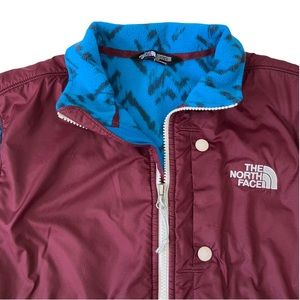 The North Face Men's S Denali Fleece Pullover 1/4 Zip Blue Maroon Aztec Jacket